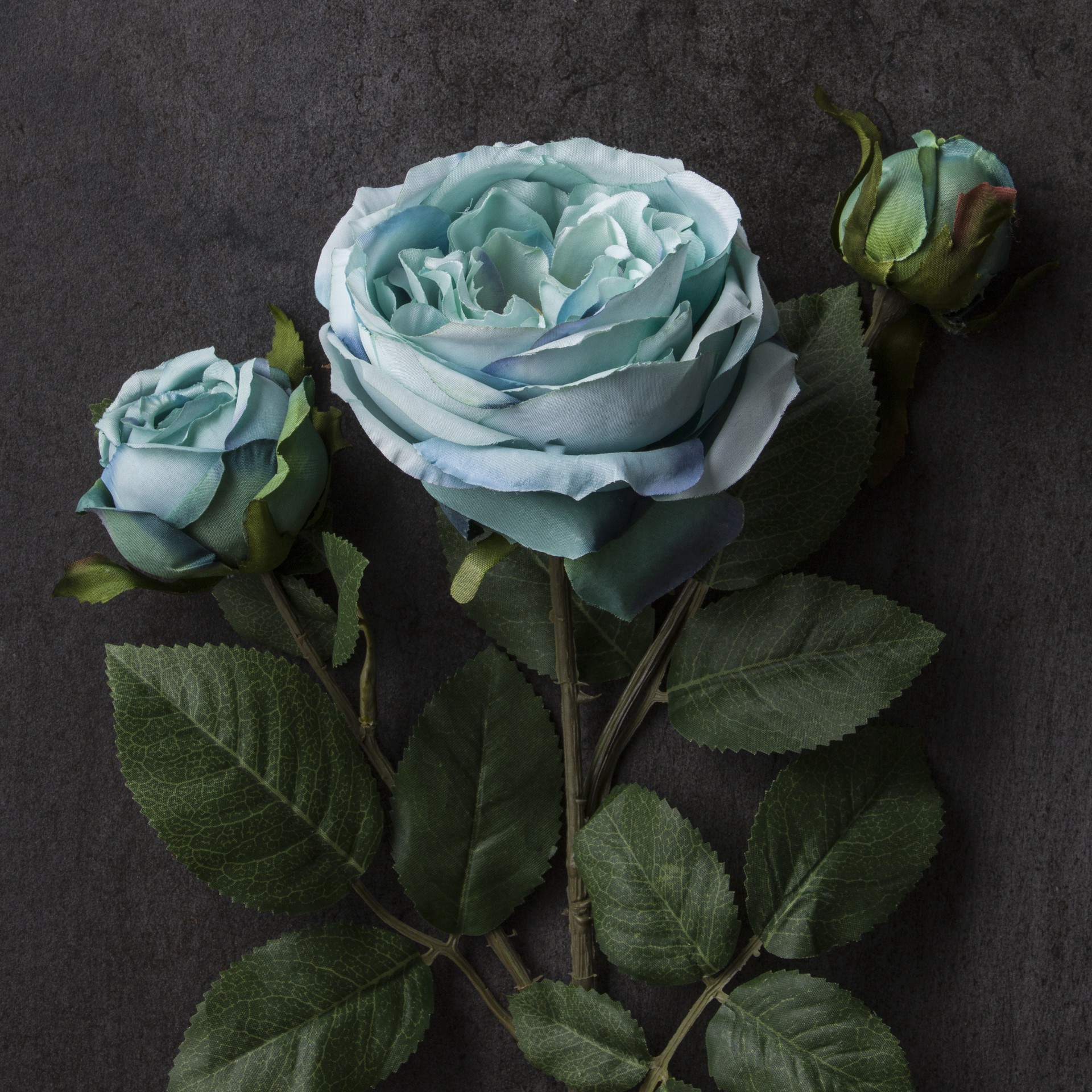 slide 2 of 4, Teal English Rose Stem By Ashland, 26 in
