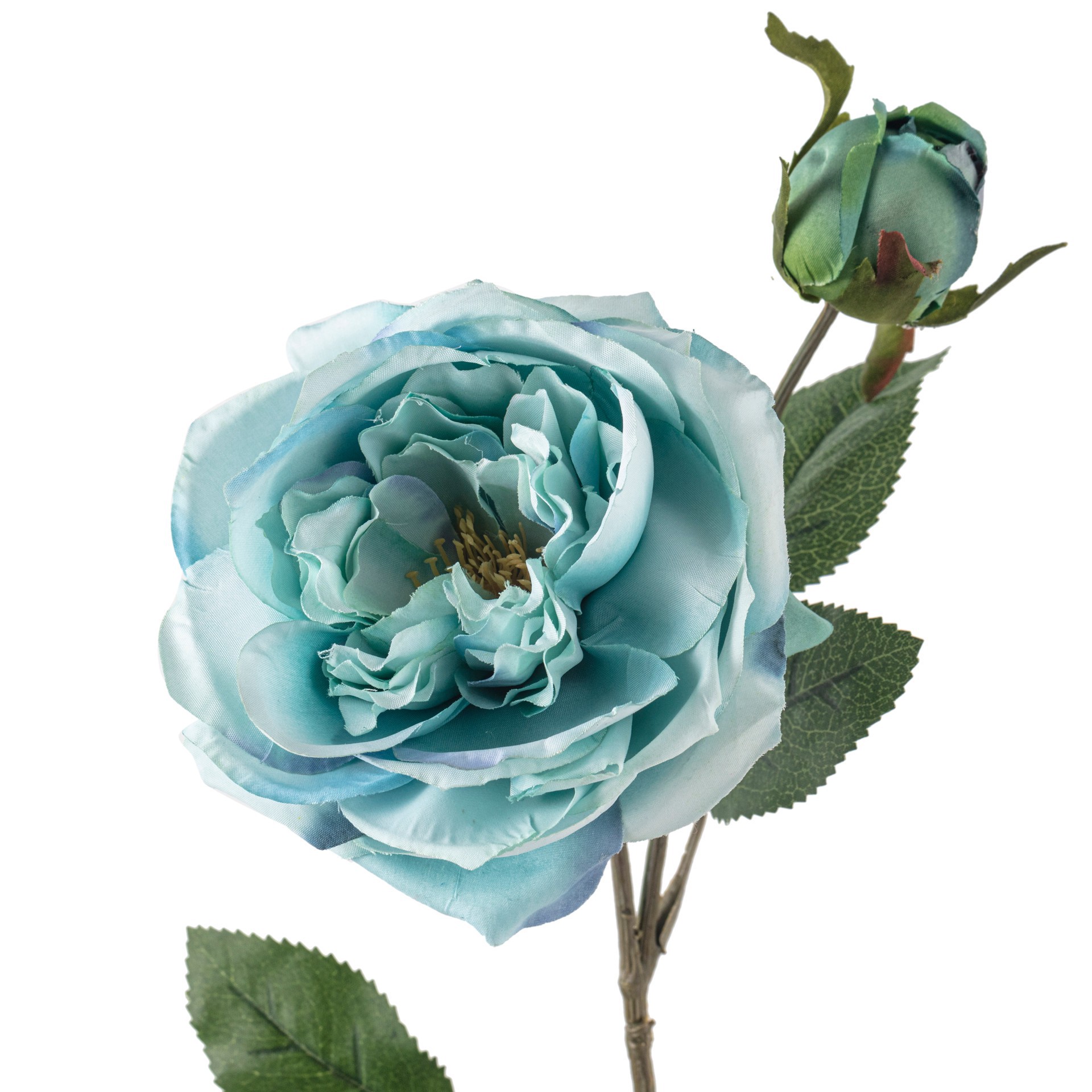 slide 4 of 4, Teal English Rose Stem By Ashland, 26 in