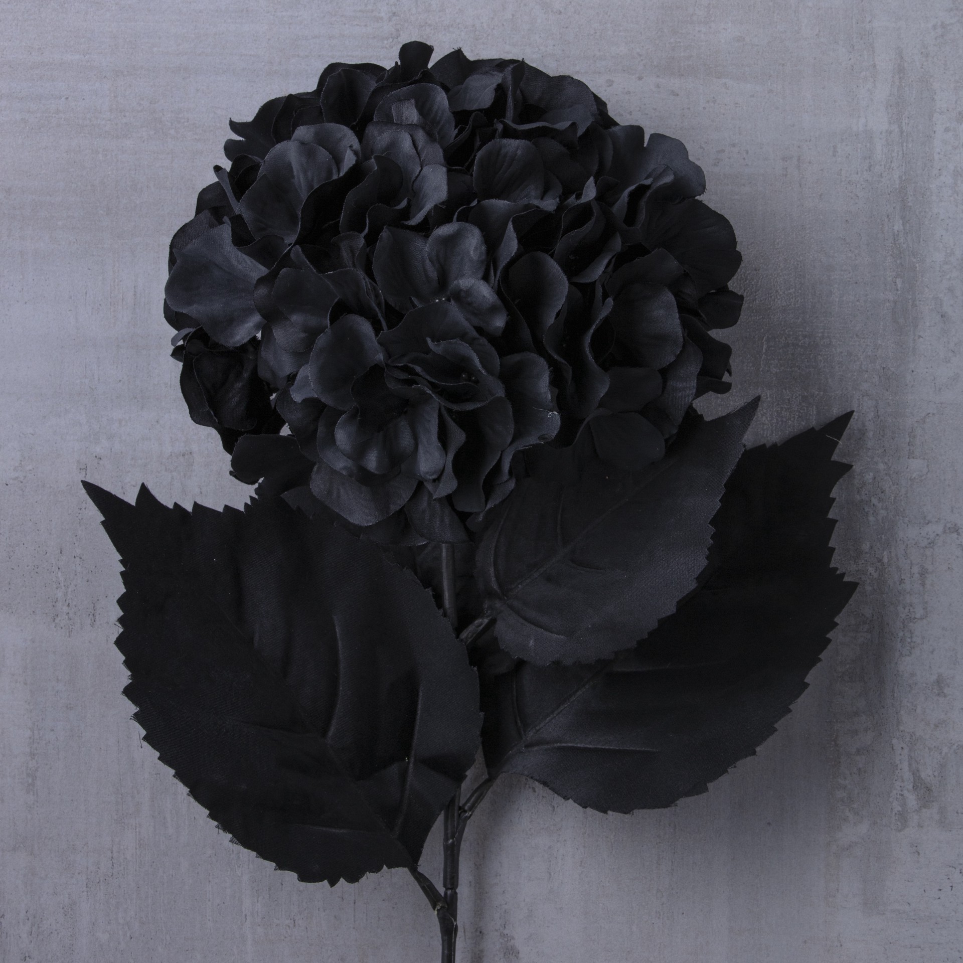 slide 4 of 4, Black Hydrangea Stem By Ashland, 27 in
