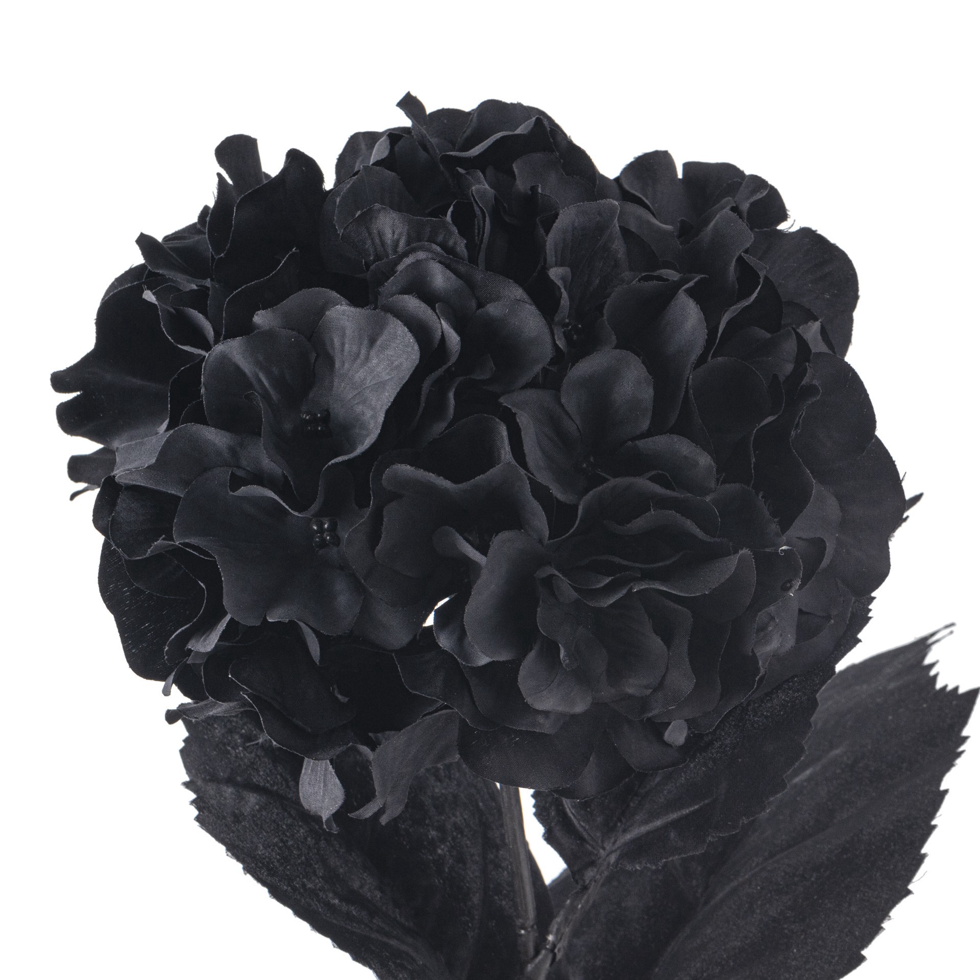 slide 3 of 4, Black Hydrangea Stem By Ashland, 27 in
