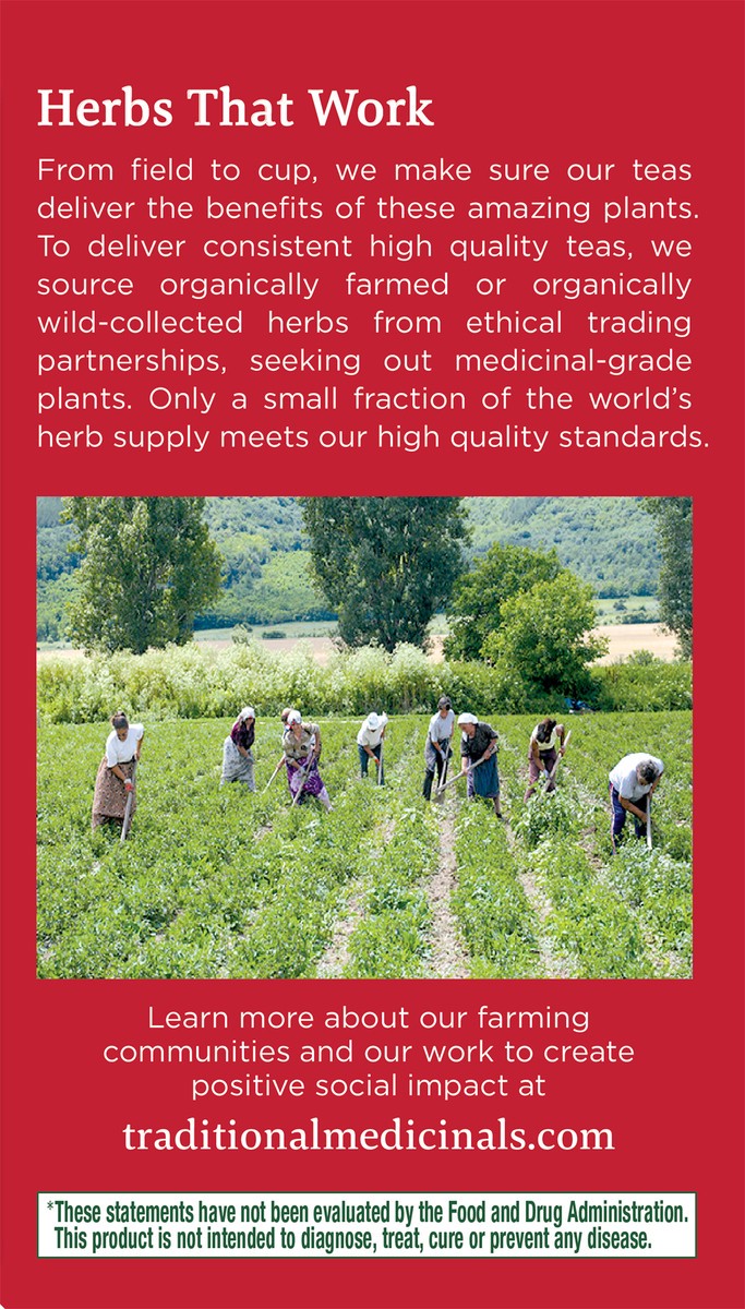 slide 9 of 9, Traditional Medicinals Throat Coat Lemon Echinacea 32ct, 32 ct