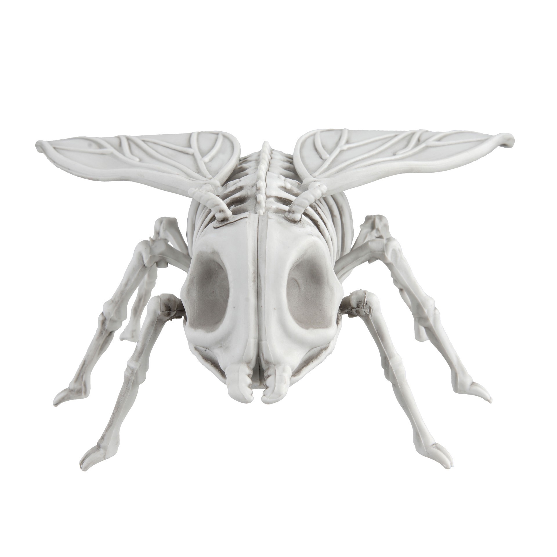 slide 4 of 4, 5.25" Fly Skeleton By Ashland, 5.25 in