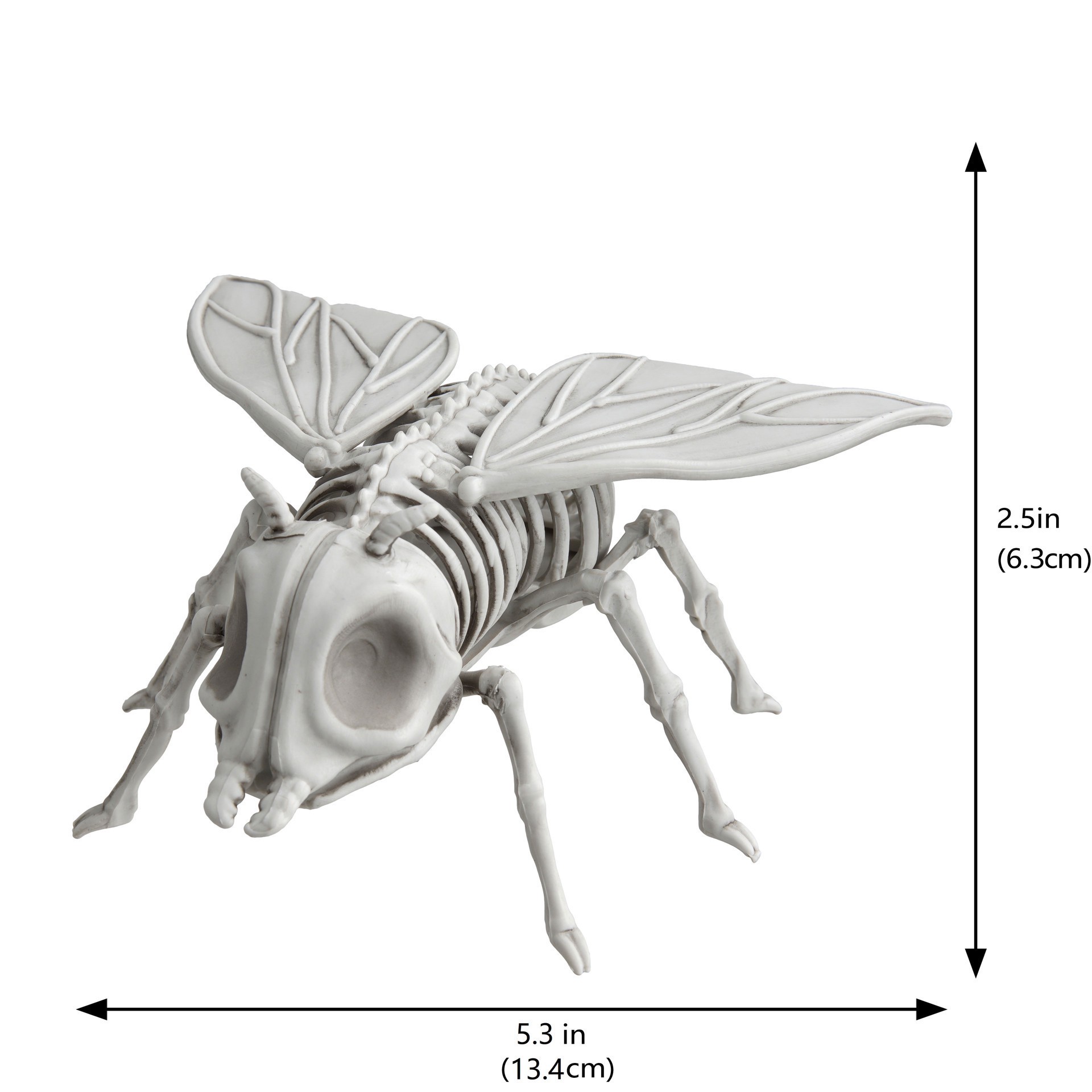 slide 3 of 4, 5.25" Fly Skeleton By Ashland, 5.25 in