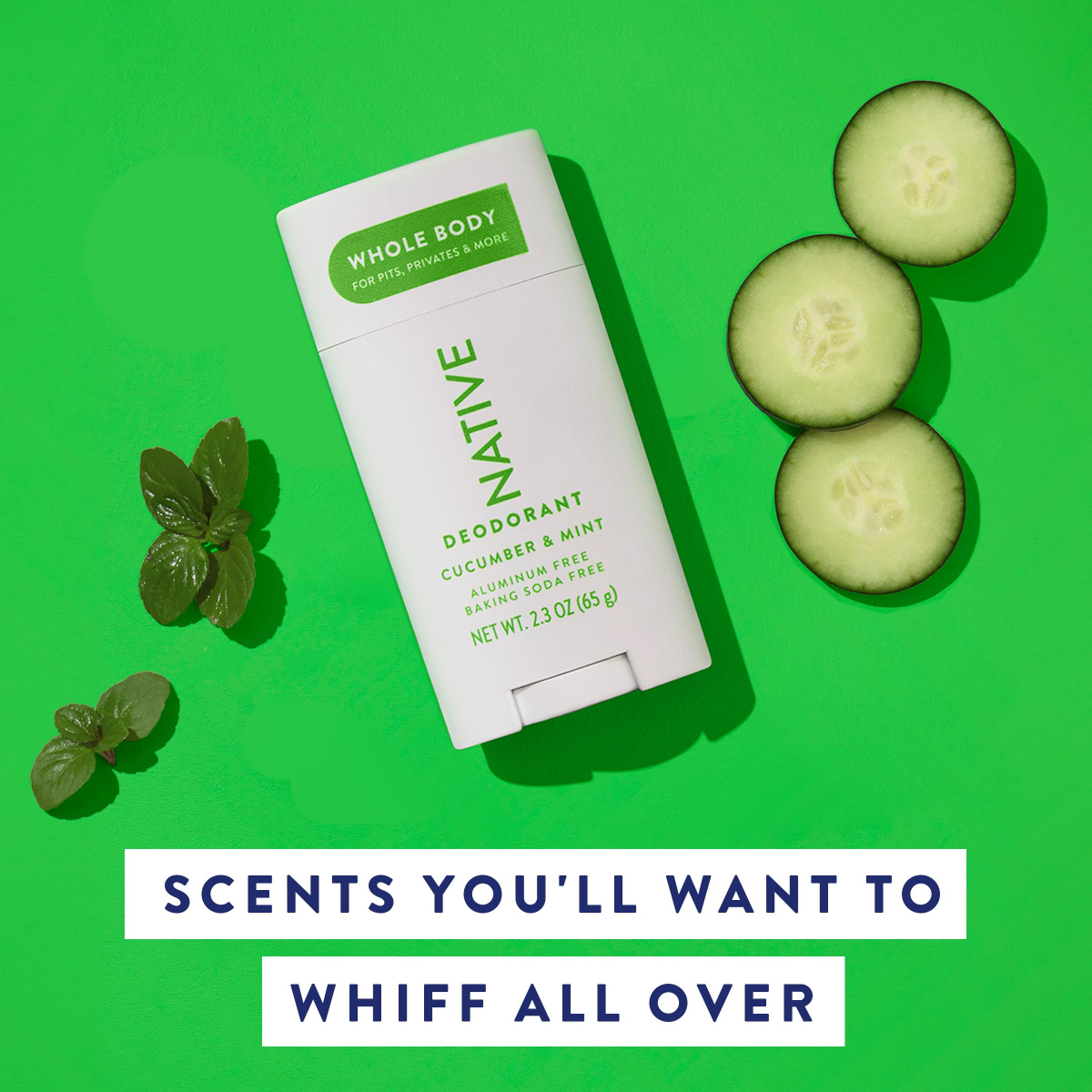 slide 7 of 21, Native Whole Body Deodorant Stick, Cucumber Mint, 2.3 Oz, 2.3 oz