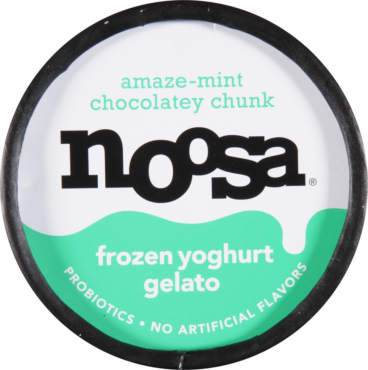slide 8 of 9, noosa Amaze-mint Chocolatey Chunk Gelato, 14 fl oz