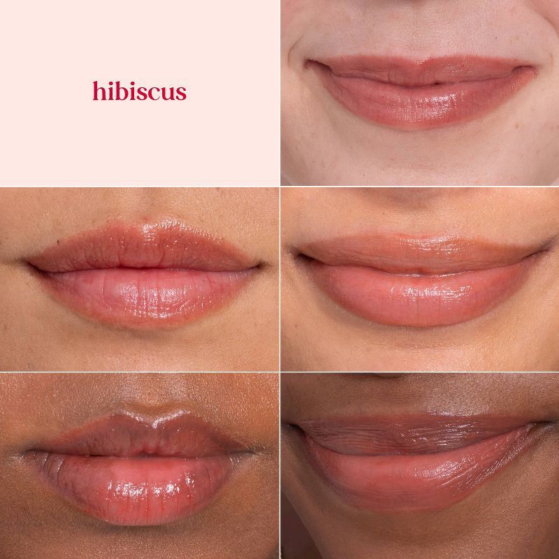 slide 3 of 12, Burt's Bees Tinted Lip Balm - Hibiscus - 0.15oz, 0.15 oz