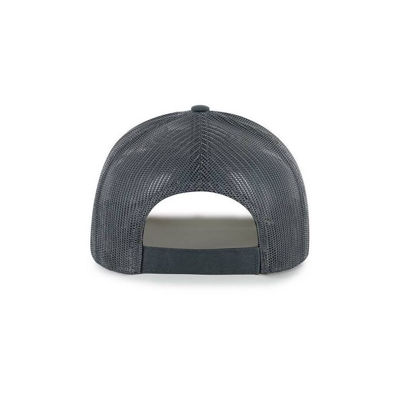 slide 2 of 2, NFL Carolina Panthers Charcoal Rig Hat: Adjustable Snapback, Team Logo Design, 1 ct