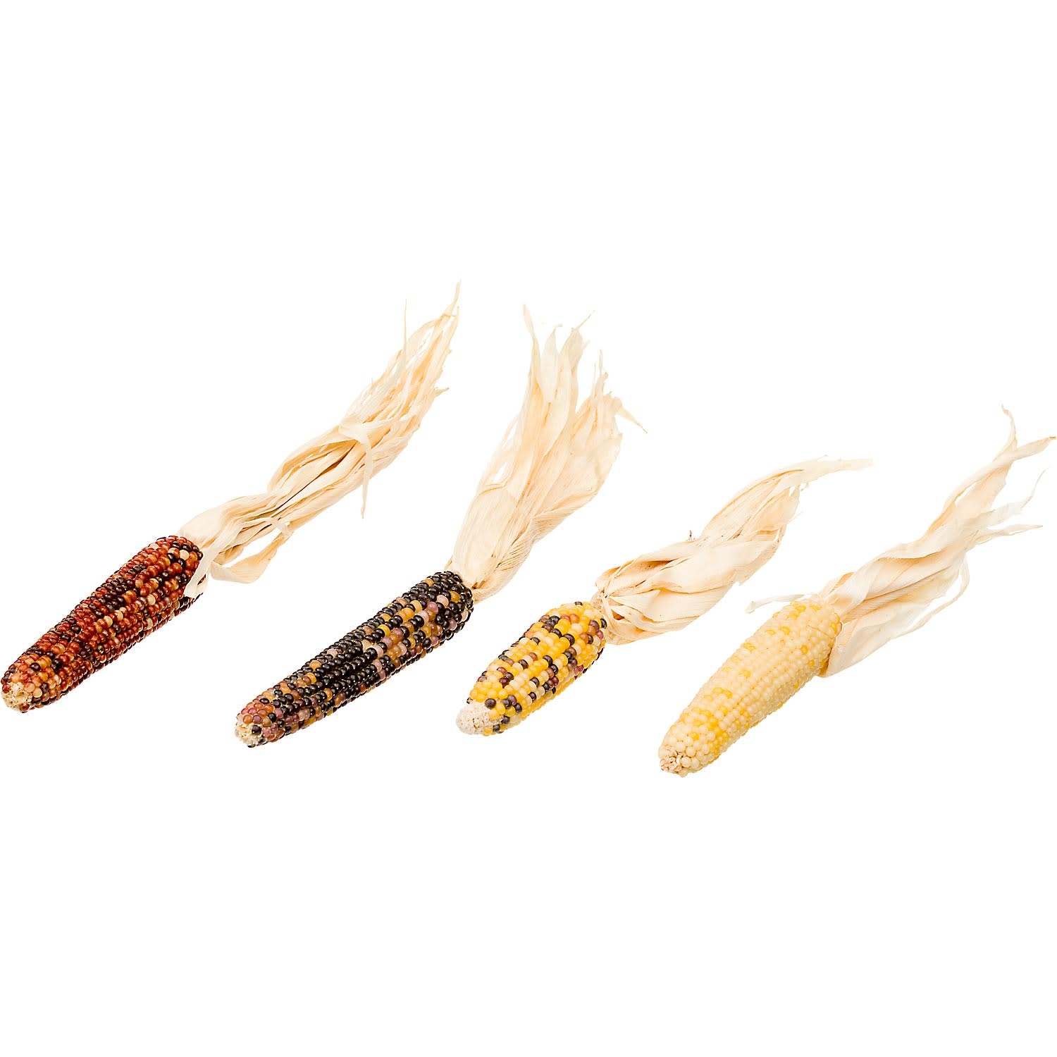 slide 1 of 1, Brown's Tropical Carnival Mini Corn-on-the-Cob with Husks Foraging Treats, 5.5 oz
