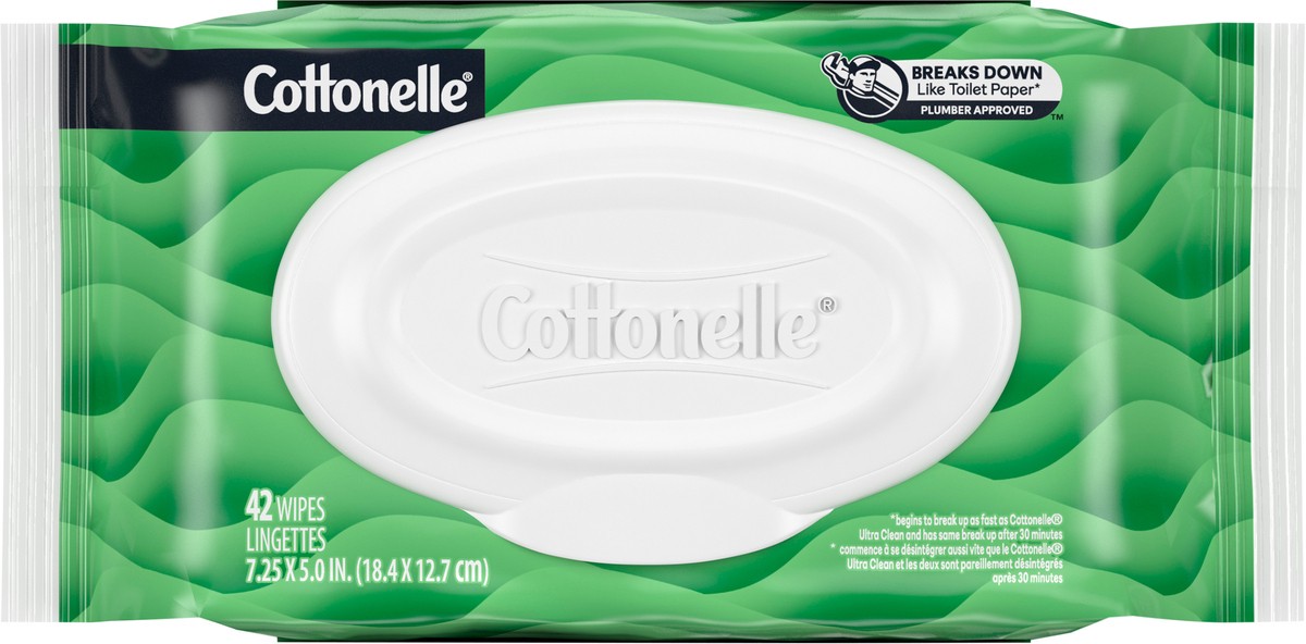 slide 2 of 9, Cottonelle GentlePlus Flushable Wet Wipes with Aloe & Vitamin E, Adult Wet Wipes, 2 Flip-Top Packs, 84 Total Wipes, 42 ct