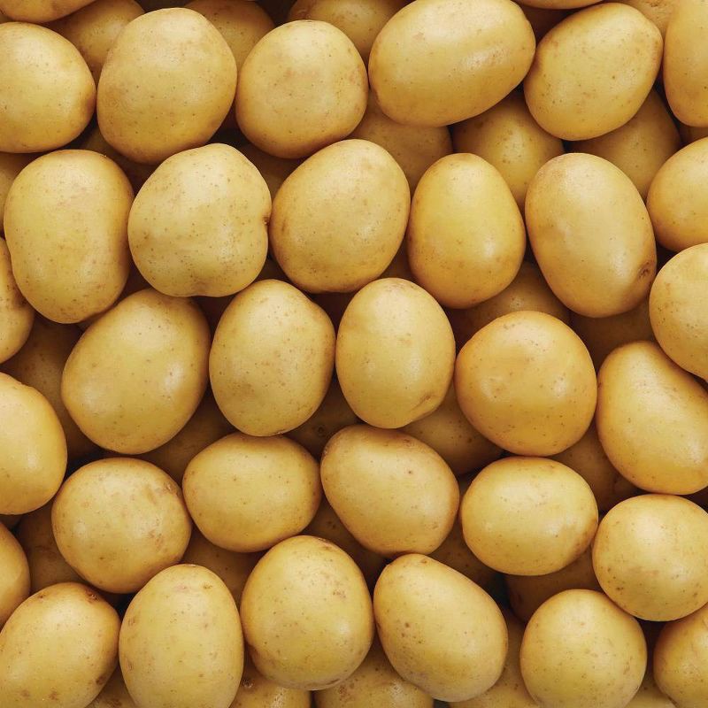 slide 2 of 4, Fresh Tasteful Selections Organic Baby Honey Gold Potatoes - 24oz, 24 oz