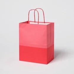 Small Color Block Gift Bag Pink - Spritz™