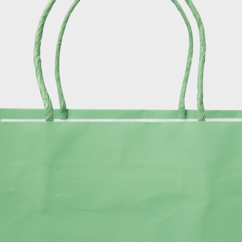 slide 3 of 3, XLarge Gift Bag Green - Spritz™, 1 ct