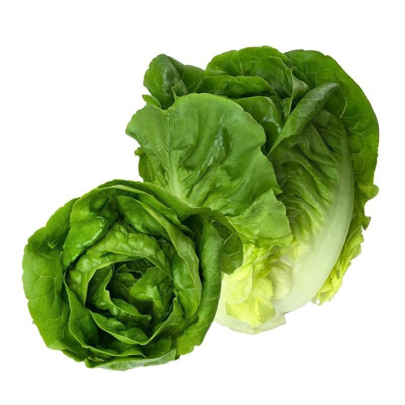 slide 3 of 3, Church Brothers Farms Church Brothers Little Gem Lettuce - 4ct, 4 ct