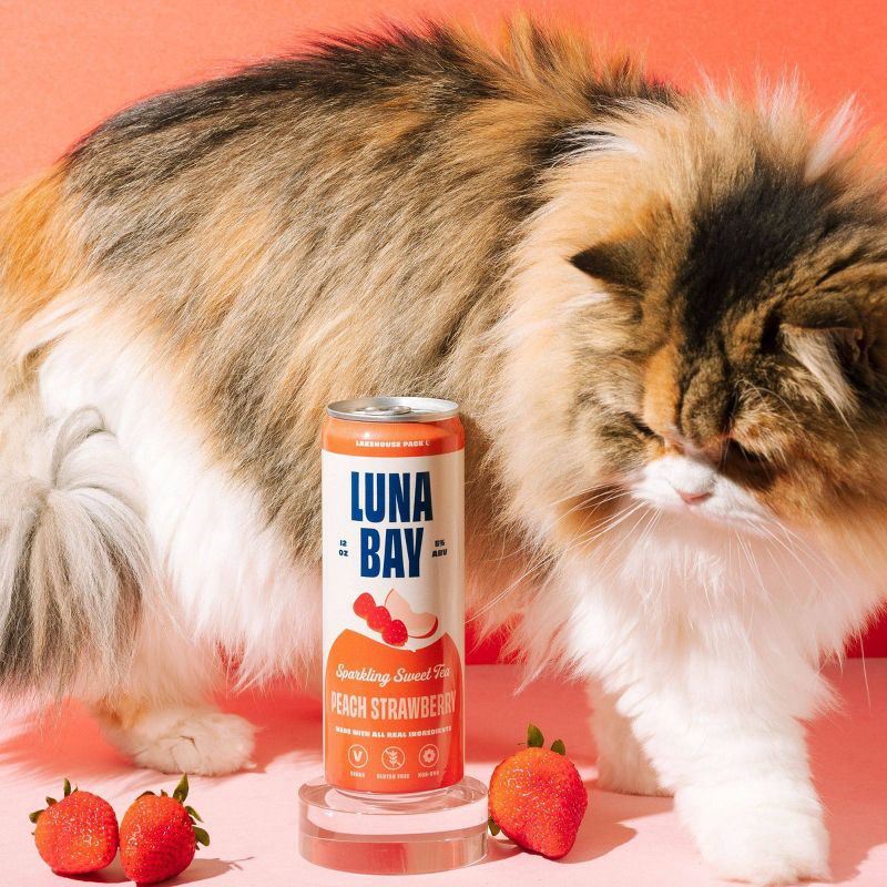 slide 6 of 16, Luna Bay Booch Co Luna Bay Lakehouse Sparkling Hard Tea - 6pk/12 fl oz Cans, 6 ct; 12 fl oz