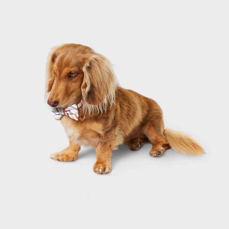 slide 1 of 3, Multistripe Dog and Cat Bowtie - Boots & Barkley™ One Size Fits Most, 1 ct