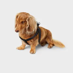 Basic Step In Adjustable Reinforced Stitching Dog Harness - S - Black - Boots & Barkley™
