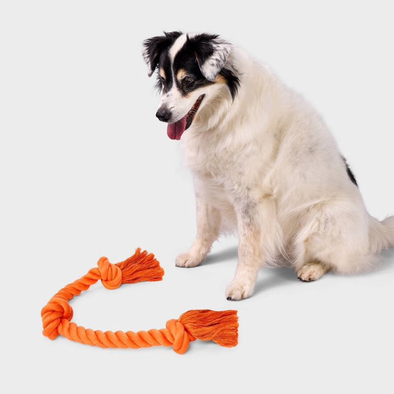 slide 2 of 4, 24" Rope Dog Toy - Boots & Barkley™ Orange, 1 ct