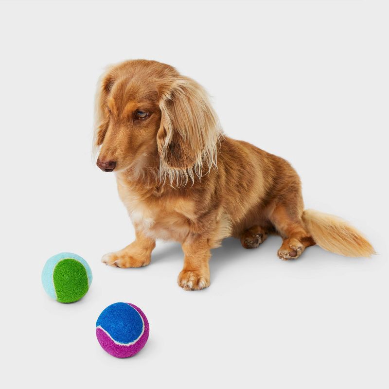 slide 2 of 4, Printed Tennis Dog Ball Toy - Boots & Barkley™ - 2pk, 2 ct