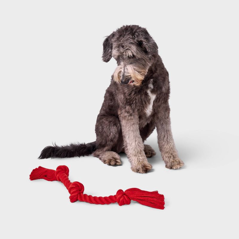 slide 2 of 4, 15" Rope Dog Toy - Boots & Barkley™ Red, 1 ct