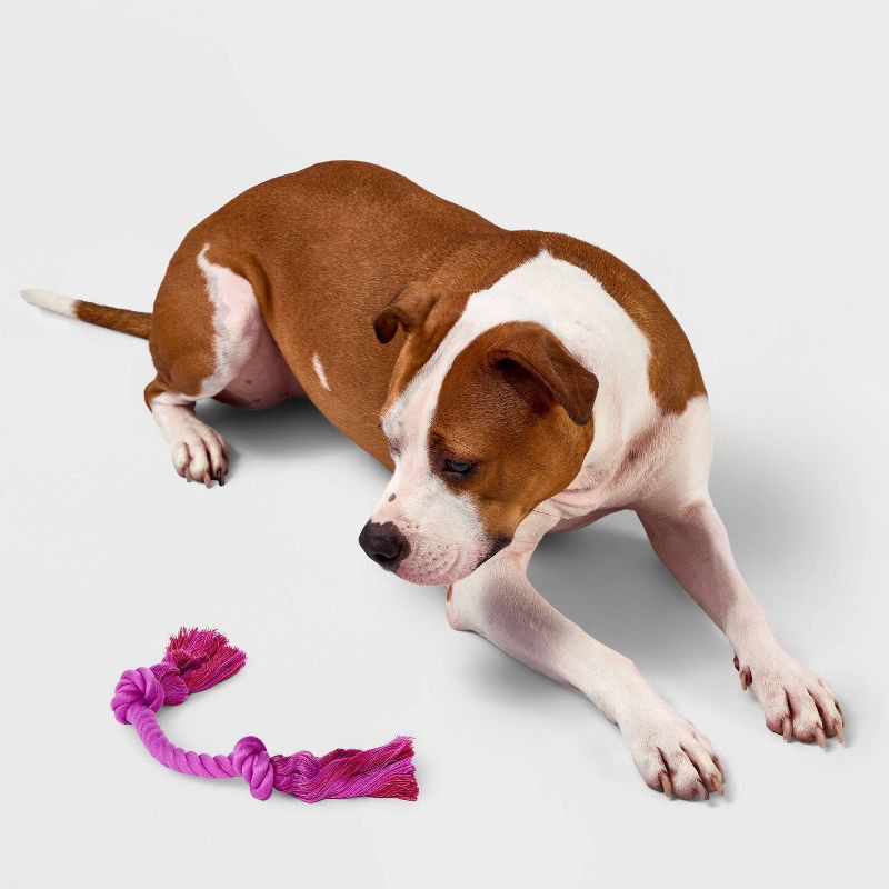 slide 2 of 4, 10" Mini Rope Dog Toy - Boots & Barkley™ Purple, 1 ct