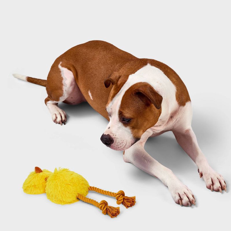 slide 2 of 4, 3.51" Emu Dog Rope Plush Toy - Boots & Barkley™ Yellow, 1 ct