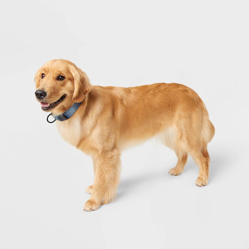 slide 3 of 3, Fashion Adjustable Length and Reinforced Stitching Dog Collar - L - Blue - Boots & Barkley™, 1 ct