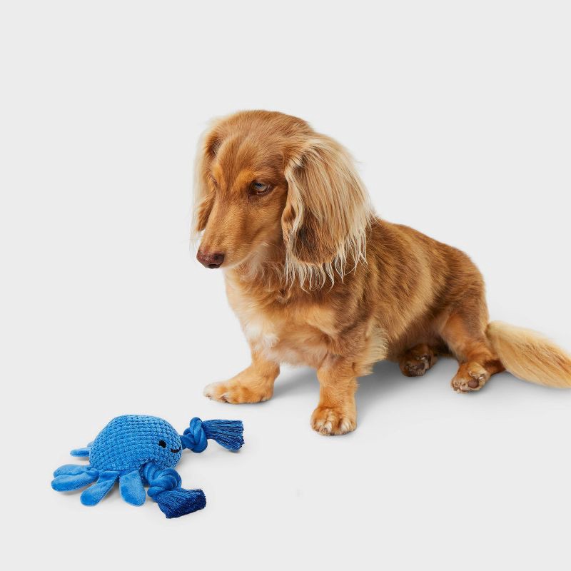 slide 2 of 4, 8.5" Blue Crab Dog Rope Plush Toy - Boots & Barkley™, 1 ct