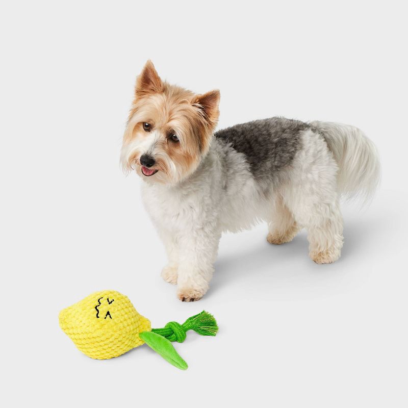 slide 2 of 4, 7.5" Lemon Dog Rope Plush Toy - Boots & Barkley™, 1 ct
