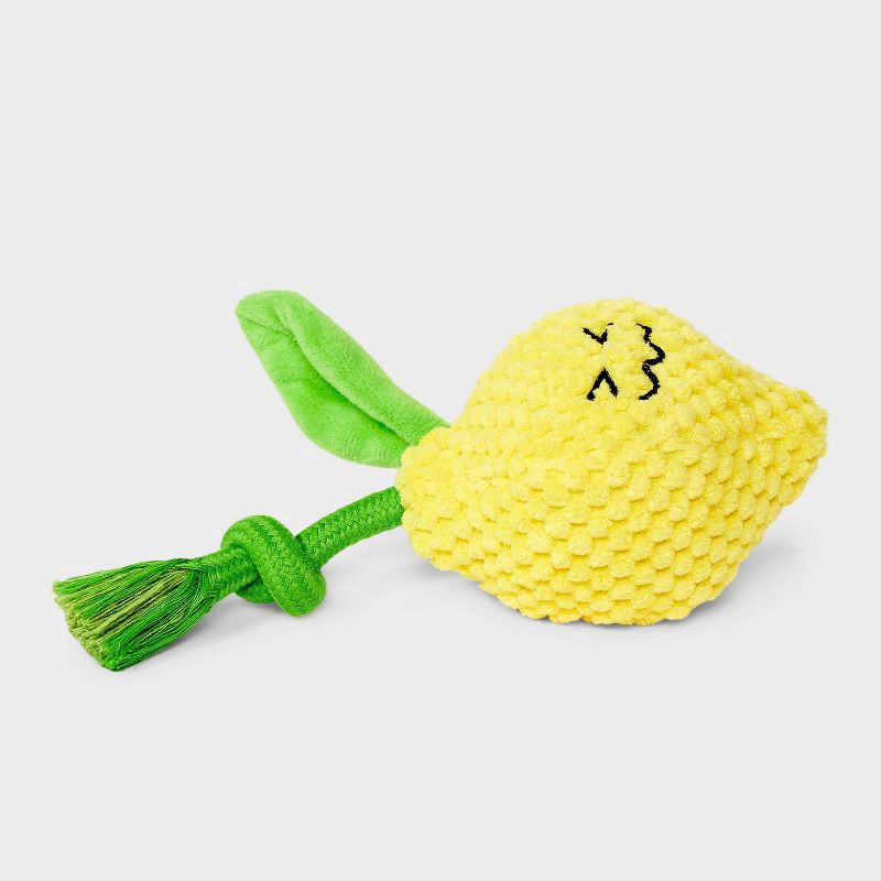slide 3 of 4, 7.5" Lemon Dog Rope Plush Toy - Boots & Barkley™, 1 ct