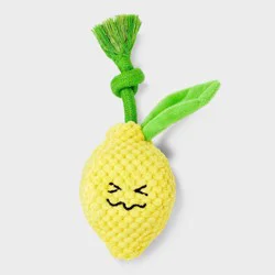7.5" Lemon Dog Rope Plush Toy - Boots & Barkley™