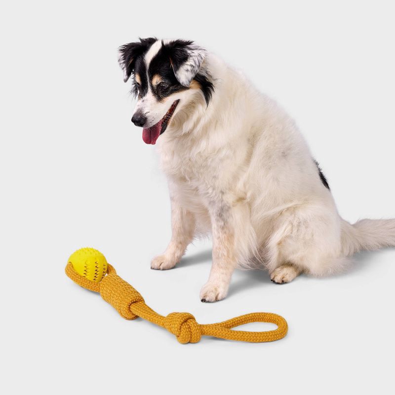 slide 2 of 4, 14" Rope with Ball Dog Toy - Boots & Barkley™ Yellow, 1 ct