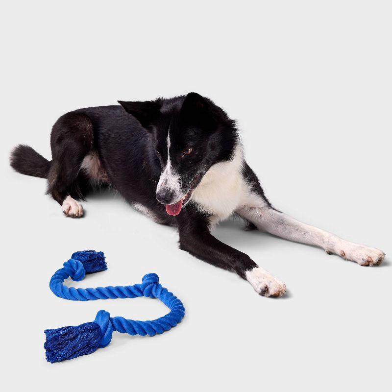 slide 2 of 4, 36" Rope Dog Toy - Boots & Barkley™ Blue, 1 ct