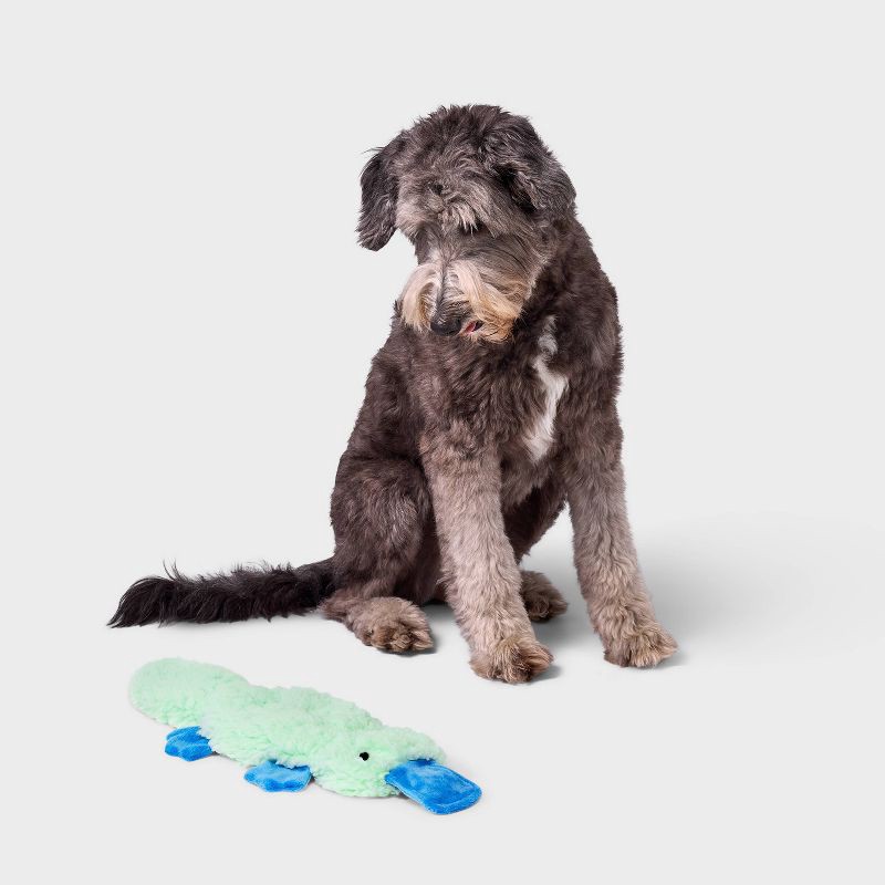 slide 2 of 4, Crinkle Platypus Dog Plush Toy - Boots & Barkley™, 1 ct