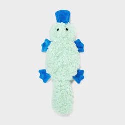 Crinkle Platypus Dog Plush Toy - Boots & Barkley™
