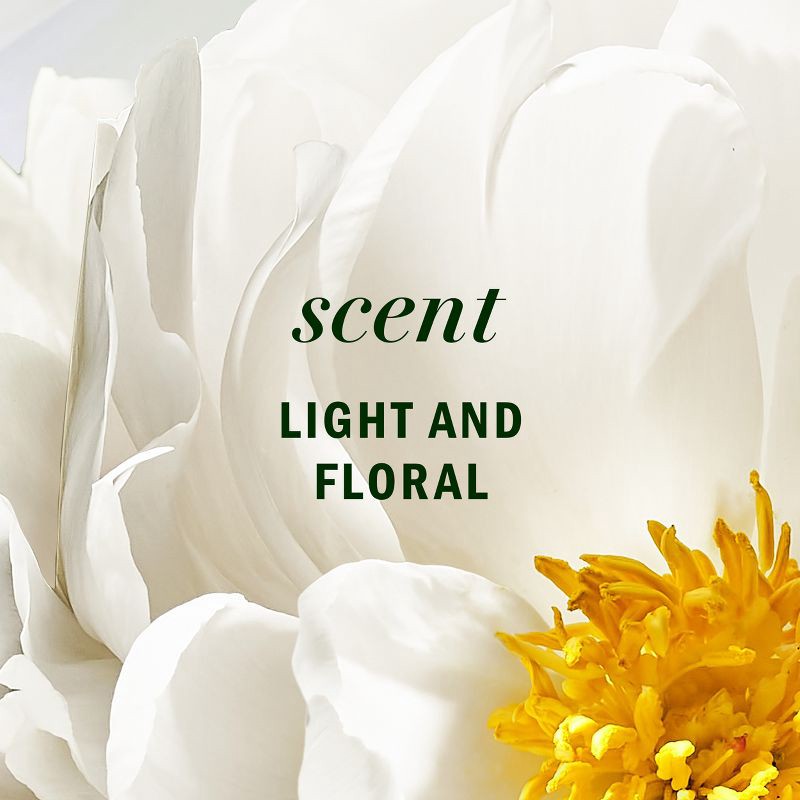 slide 8 of 10, Herbal Essences Aloe and Camelia Flower Lightweight Hair Oil - 3.2 fl oz, 3.2 fl oz