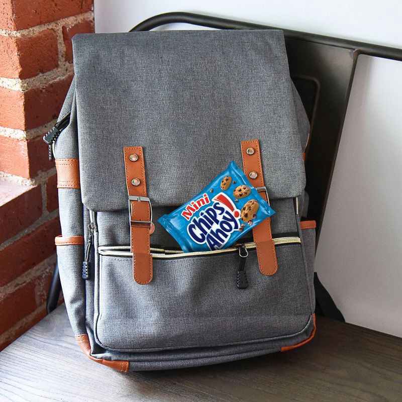 slide 17 of 18, Chips Ahoy! Mini Original Chocolate Chip Cookies Snack Pack - 10oz/10ct, 10 ct; 10 oz