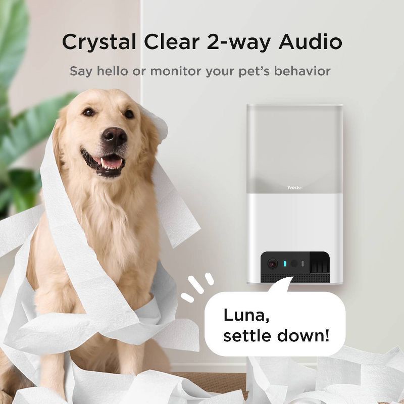 slide 4 of 7, Petcube Bites 2 Lite Interactive WiFi Pet Monitoring Camera with Phone App and Treat Dispenser, 1 ct