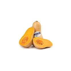 Fresh Organic Butternut Squash - each