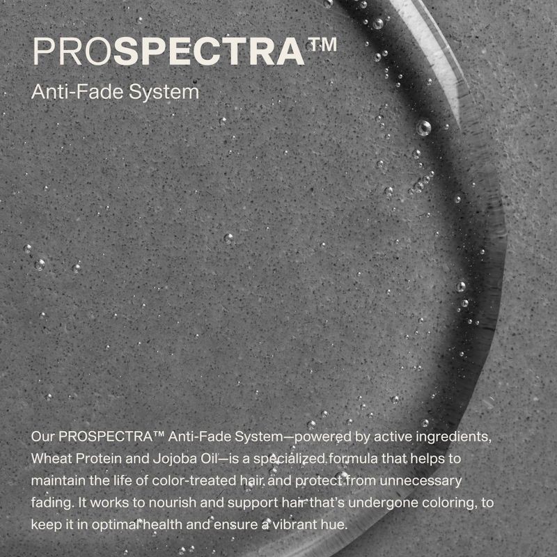 slide 5 of 12, Laura Polko Color Protect Shampoo - 13.5 fl oz, 13.5 fl oz