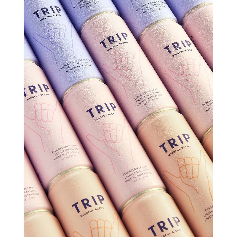 slide 8 of 9, Trip Mindful Blend Peach Ginger Lightly Sparkling Botanical - 12 fl oz Can, 12 fl oz