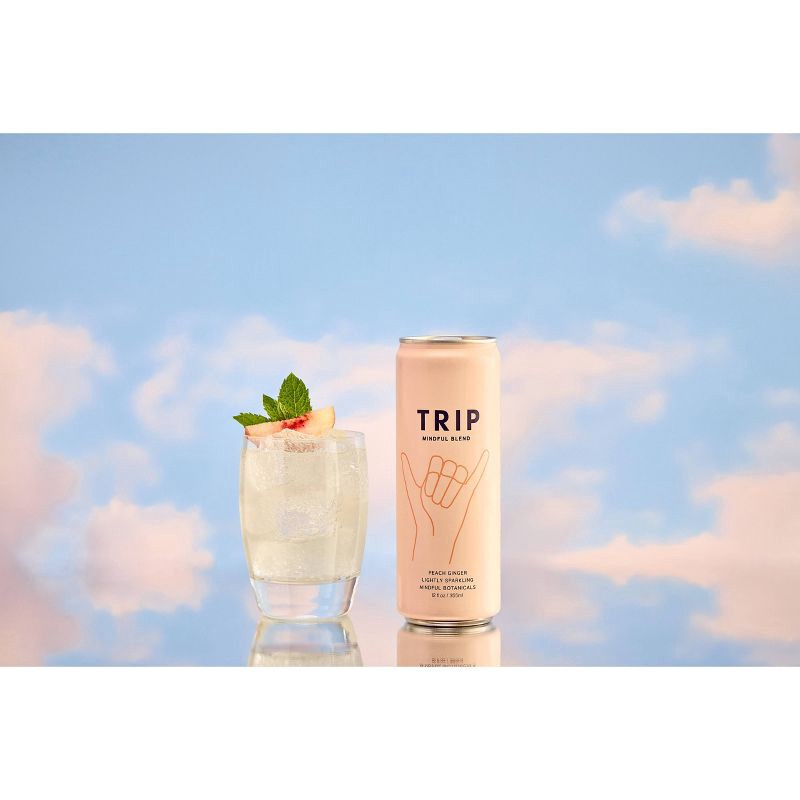slide 9 of 9, Trip Mindful Blend Peach Ginger Lightly Sparkling Botanical - 12 fl oz Can, 12 fl oz