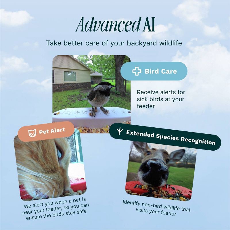 slide 5 of 6, Bird Buddy Smart Bird Feeder with Camera and Solar Roof: Weather-Resistant, Hanging or Pole Mount, 1 ct