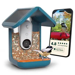 Bird Buddy Smart Bird Feeder with Camera and Solar Roof: Weather-Resistant, Hanging or Pole Mount