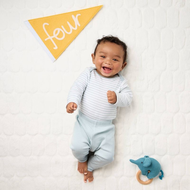 slide 2 of 4, Milestone Felt Pennants - Multi Color - Cloud Island™, 1 ct