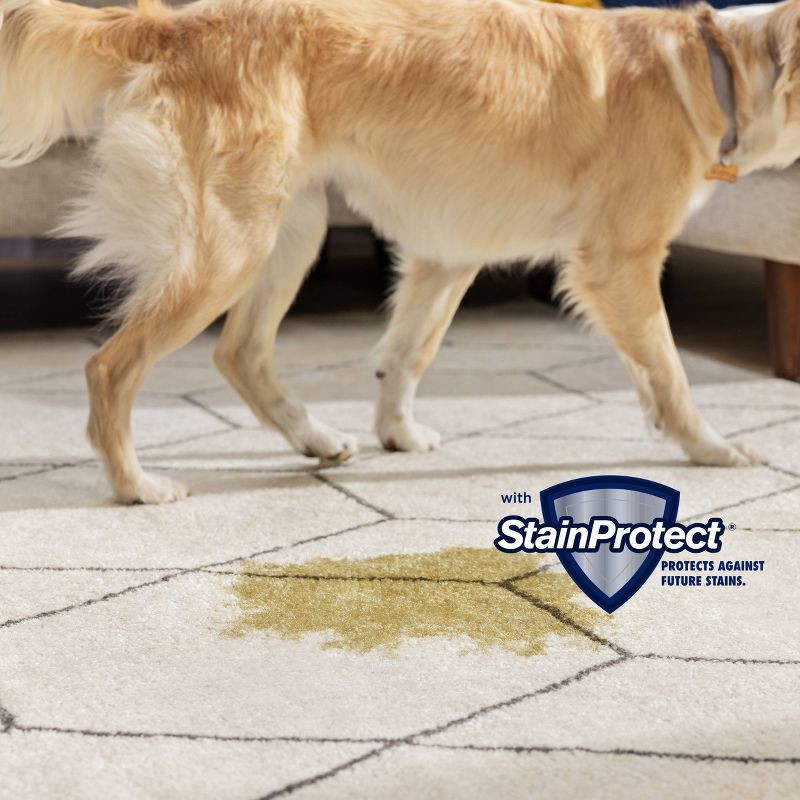 slide 6 of 7, BISSELL Little Green Pet Pro On-Board Tool Portable Carpet Cleaner 3908 15' 4" Cleaning Path Black, 1 ct