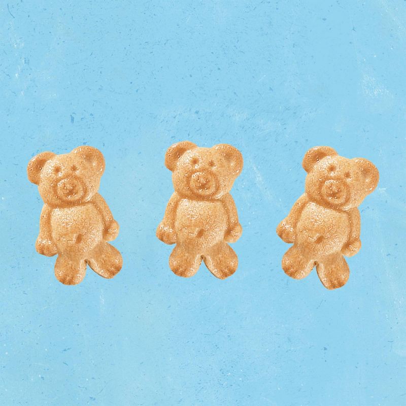 slide 4 of 16, Teddy Grahams Honey Kids' Snack Packs - 10oz/10ct, 10 ct; 10 oz