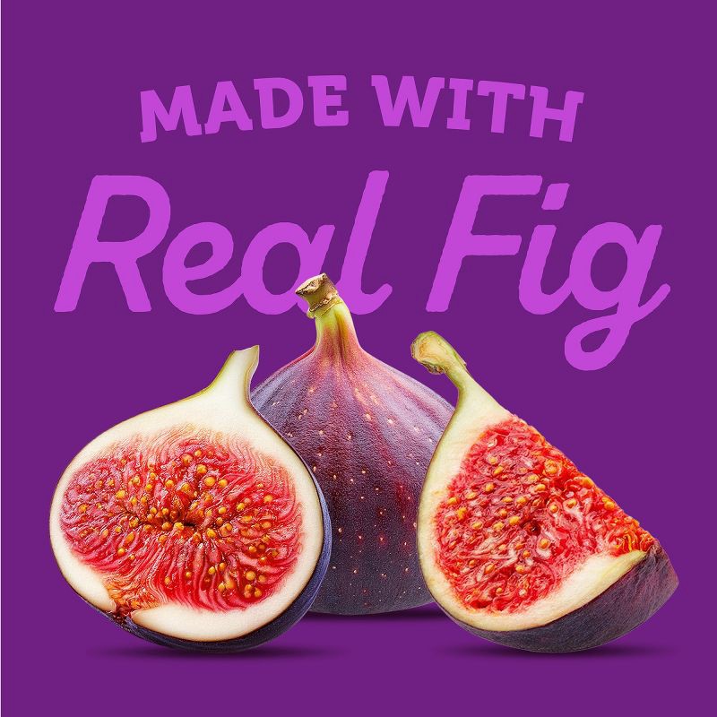 slide 6 of 14, Newtons Fig Fruit Chewy Cookies Snack Pack - 20oz/10ct, 10 ct; 20 oz