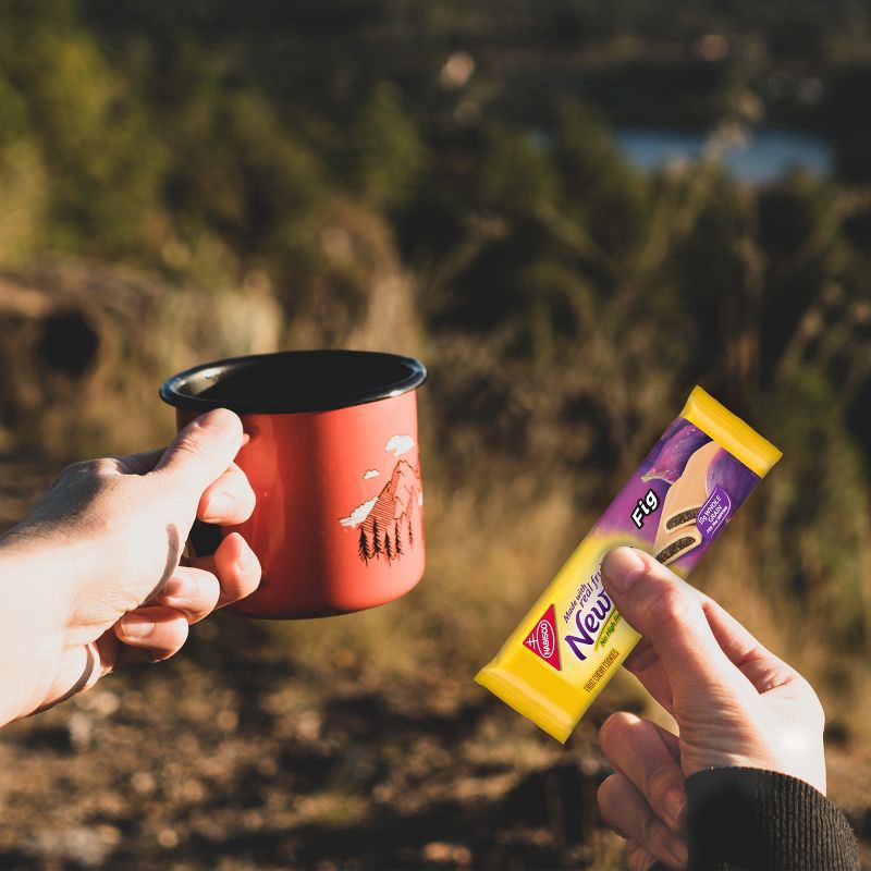 slide 7 of 14, Newtons Fig Fruit Chewy Cookies Snack Pack - 20oz/10ct, 10 ct; 20 oz
