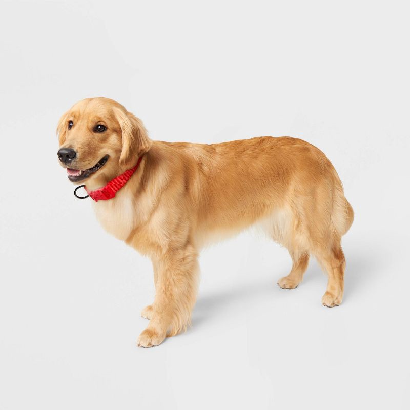 slide 3 of 3, Basic Adjustable Dog Collar with Matching Buckle - M - Red - Boots & Barkley™, 1 ct