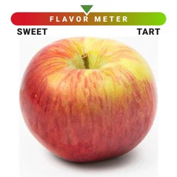 Large Cortland Apple - Each, Large/ 1 Count